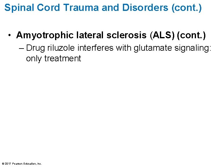 Spinal Cord Trauma and Disorders (cont. ) • Amyotrophic lateral sclerosis (ALS) (cont. )