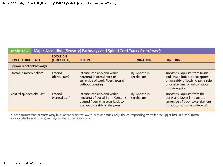 Table 12. 2 -3 Major Ascending (Sensory) Pathways and Spinal Cord Tracts (continued) ©