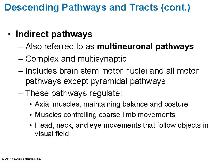 Descending Pathways and Tracts (cont. ) • Indirect pathways – Also referred to as