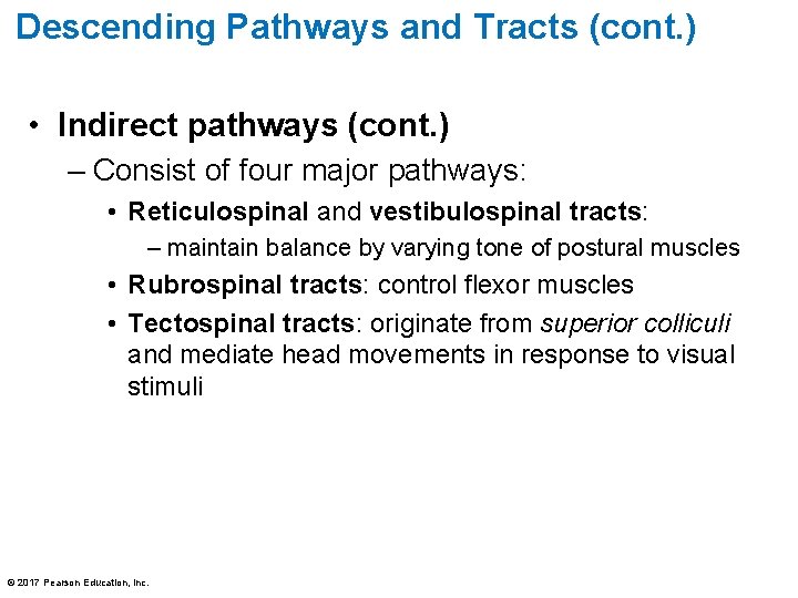 Descending Pathways and Tracts (cont. ) • Indirect pathways (cont. ) – Consist of