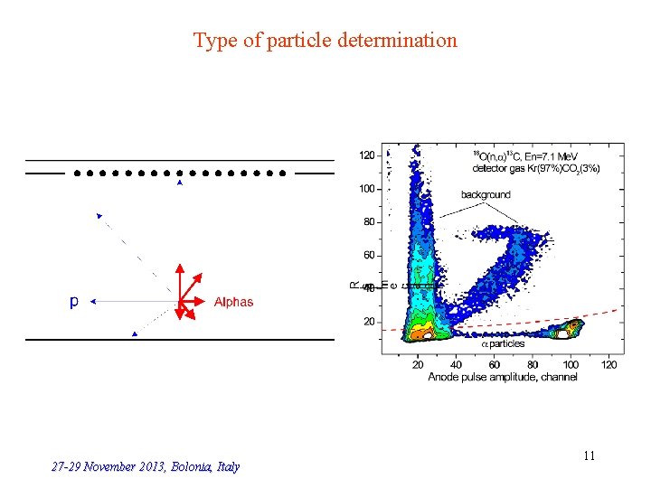 Type of particle determination 27 -29 November 2013, Bolonia, Italy 11 