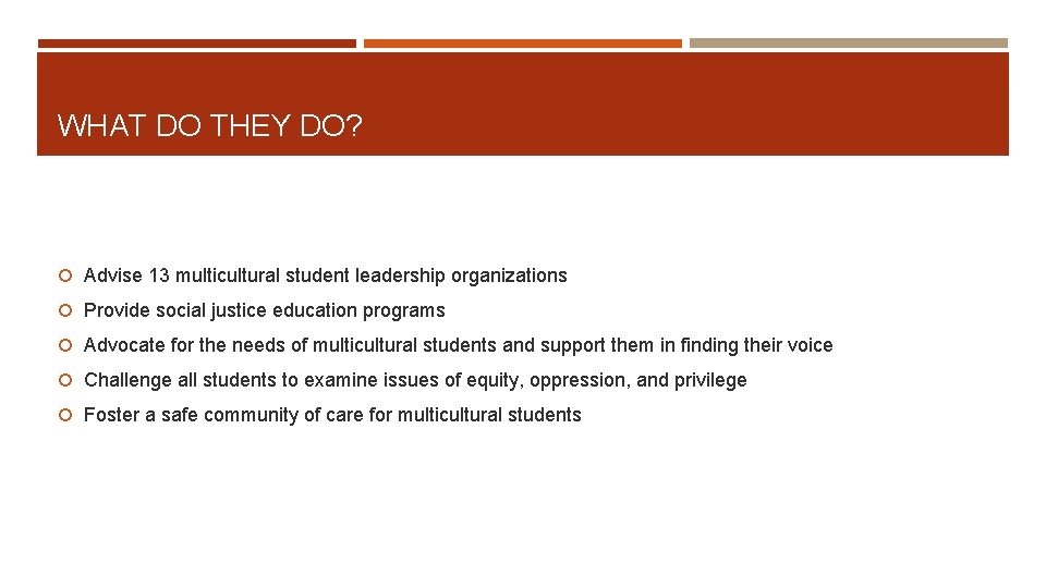 WHAT DO THEY DO? Advise 13 multicultural student leadership organizations Provide social justice education