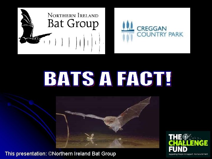 This presentation: ©Northern Ireland Bat Group 