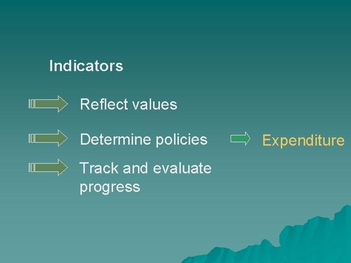 Indicators Reflect values Determine policies Track and evaluate progress Expenditure 