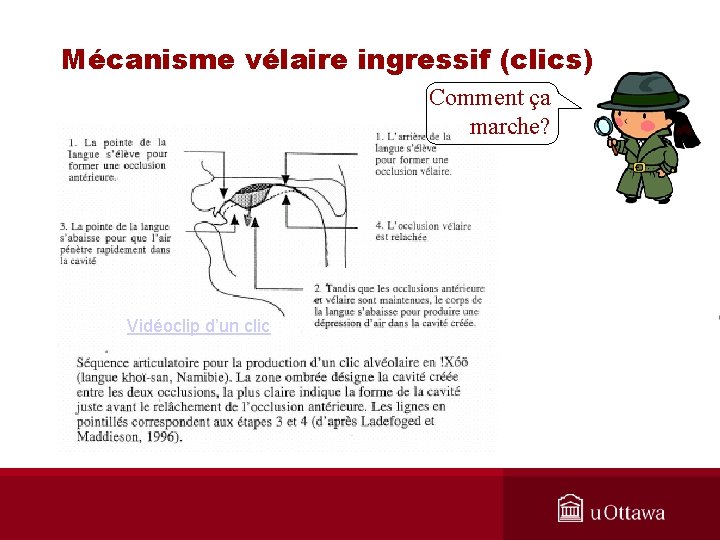 Mécanisme vélaire ingressif (clics) Comment ça marche? Vidéoclip d’un clic 