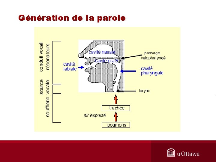 Génération de la parole 