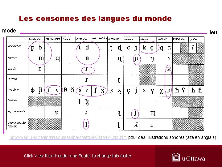 Les consonnes des langues du monde mode lieu http: //web. uvic. ca/ling/resources/ipa/charts/IPAlab. htm pour