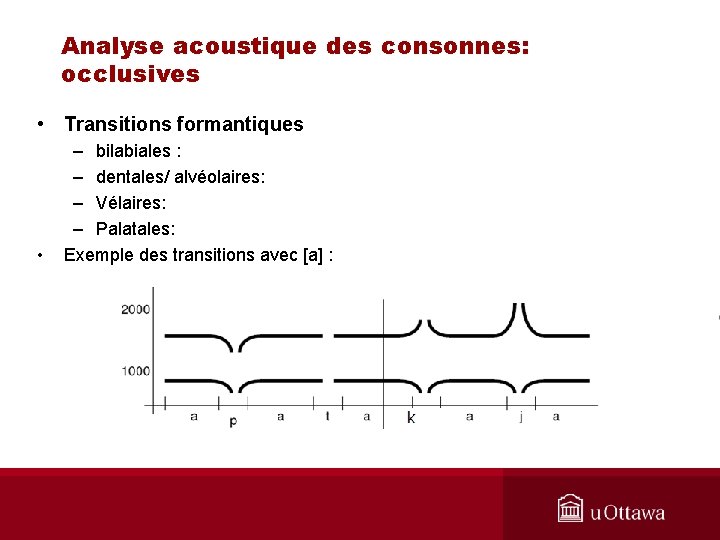 Analyse acoustique des consonnes: occlusives • Transitions formantiques • – bilabiales : – dentales/
