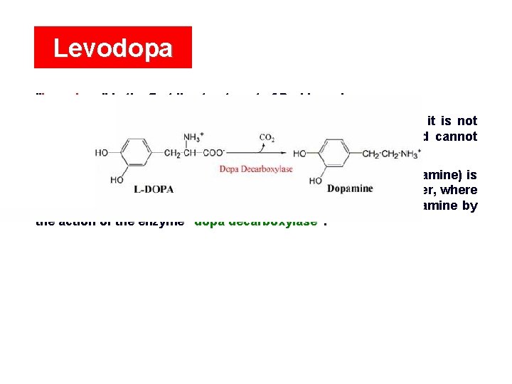 Levodopa "Levodopa" is the first line treatment of Parkinsonism. Dopamine itself has no therapeutic