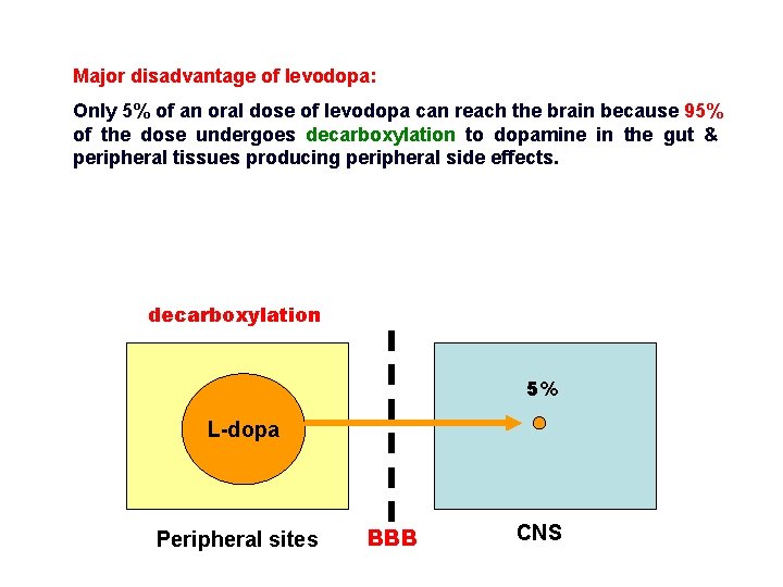 Major disadvantage of levodopa: Only 5% of an oral dose of levodopa can reach