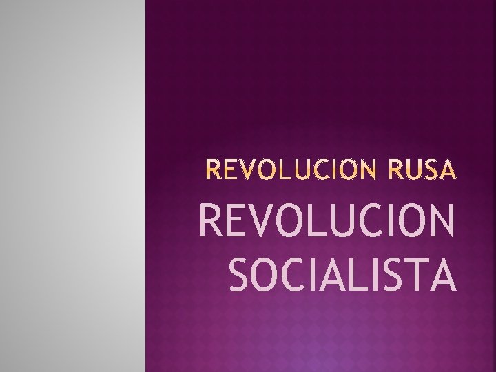 REVOLUCION SOCIALISTA 