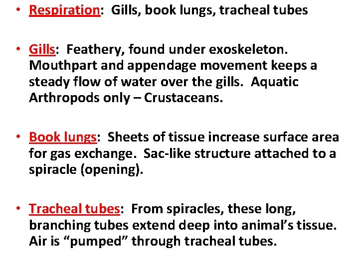  • Respiration: Gills, book lungs, tracheal tubes • Gills: Feathery, found under exoskeleton.