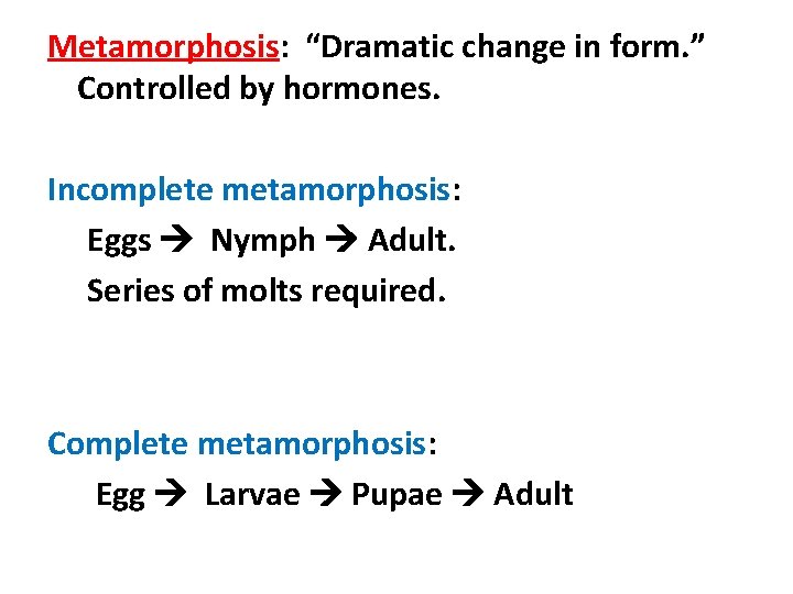 Metamorphosis: “Dramatic change in form. ” Controlled by hormones. Incomplete metamorphosis: Eggs Nymph Adult.