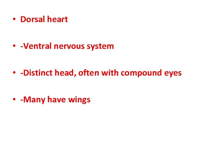  • Dorsal heart • -Ventral nervous system • -Distinct head, often with compound