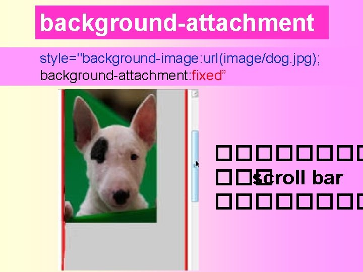 background-attachment style="background-image: url(image/dog. jpg); background-attachment: fixed” ���� ��� scroll bar ���� 