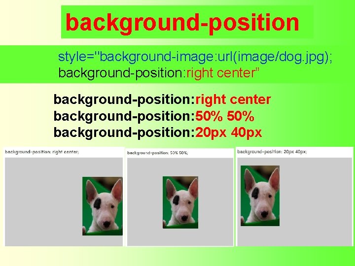 background-position style="background-image: url(image/dog. jpg); background-position: right center” background-position: right center background-position: 50% background-position: 20