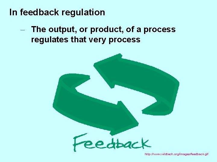 In feedback regulation – The output, or product, of a process regulates that very