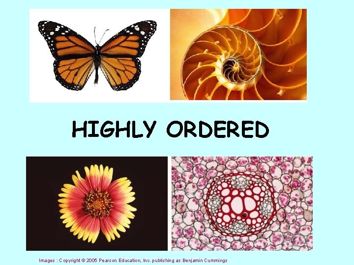 HIGHLY ORDERED Images : Copyright © 2005 Pearson Education, Inc. publishing as Benjamin Cummings