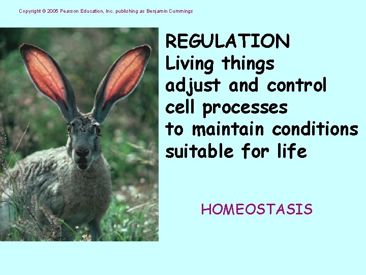 Copyright © 2005 Pearson Education, Inc. publishing as Benjamin Cummings REGULATION Living things adjust