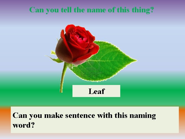 Can you tell the name of this thing? Rose Leaf Canyou youmakesentencewiththisnaming Can word?