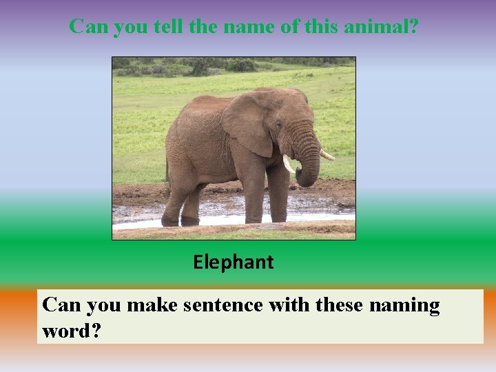 Can you tell the name of this animal? Elephant Can you make sentence with