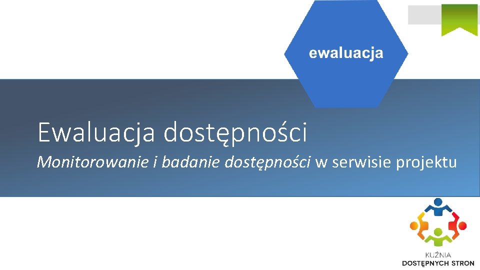 Ewaluacja dostępności Monitorowanie i badanie dostępności w serwisie projektu 