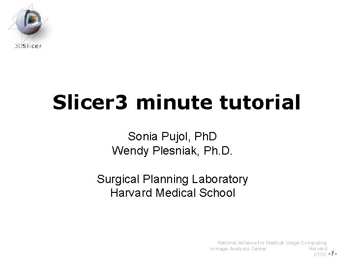 Slicer 3 minute tutorial Sonia Pujol, Ph. D Wendy Plesniak, Ph. D. Surgical Planning Slicer 3 minute tutorial Sonia Pujol, Ph. D Wendy Plesniak, Ph. D. Surgical Planning