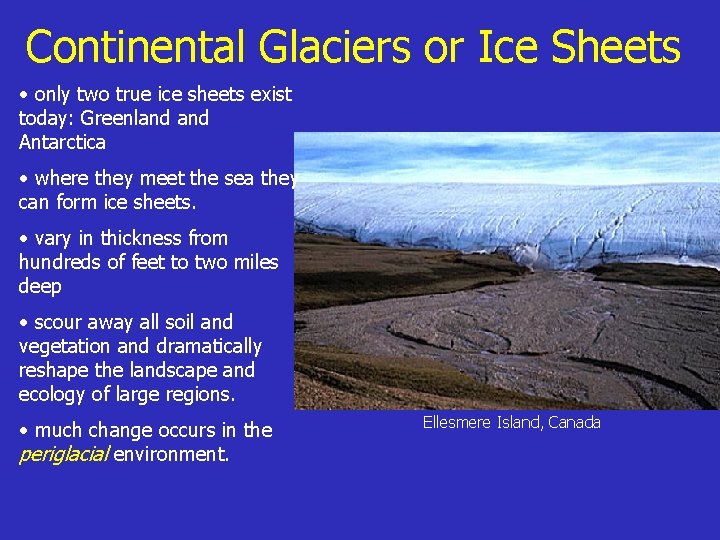 Continental Glaciers or Ice Sheets • only two true ice sheets exist today: Greenland