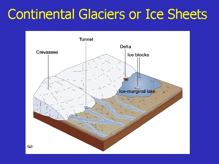 Continental Glaciers or Ice Sheets 