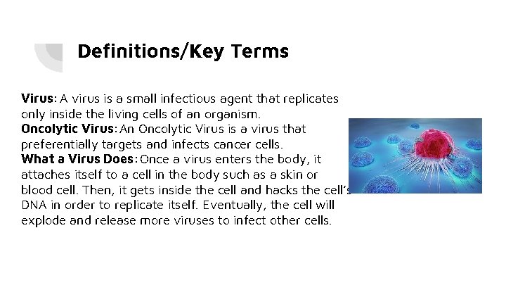 Definitions/Key Terms Virus: A virus is a small infectious agent that replicates only inside