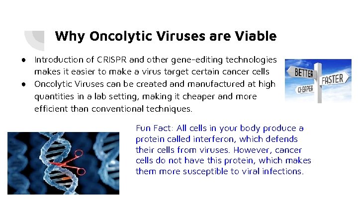 Why Oncolytic Viruses are Viable ● Introduction of CRISPR and other gene-editing technologies makes