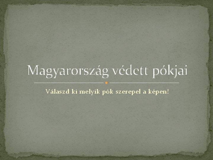 Magyarország védett pókjai Válaszd ki melyik pók szerepel a képen! 