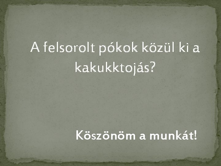 A felsorolt pókok közül ki a kakukktojás? Köszönöm a munkát! 