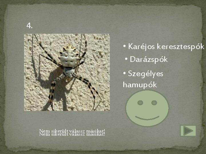 4. • Karéjos keresztespók • Darázspók • Szegélyes hamupók Nem sikerült válassz másikat! 