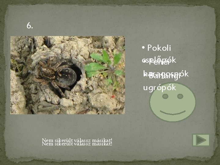 6. • Pokoli cselőpók • Fehér haragospók • Barlangi ugrópók Nem sikerült válassz másikat!
