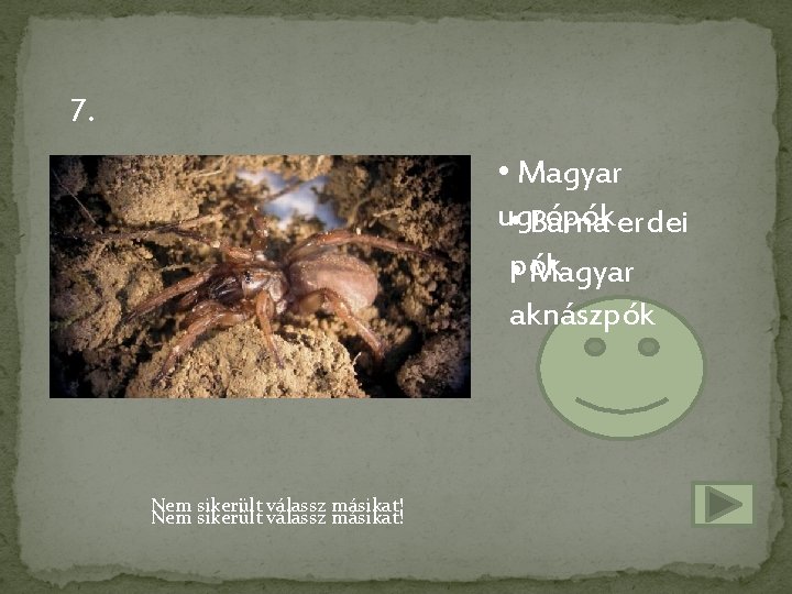 7. • Magyar ugrópók • Barna erdei pók • Magyar aknászpók Nem sikerült válassz