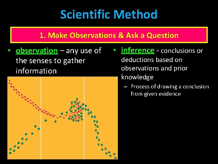 Scientific Method 1. Make Observations & Ask a Question • observation – any use