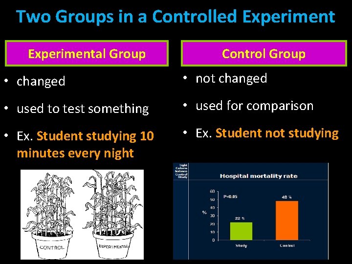 Two Groups in a Controlled Experimental Group Control Group • changed • not changed