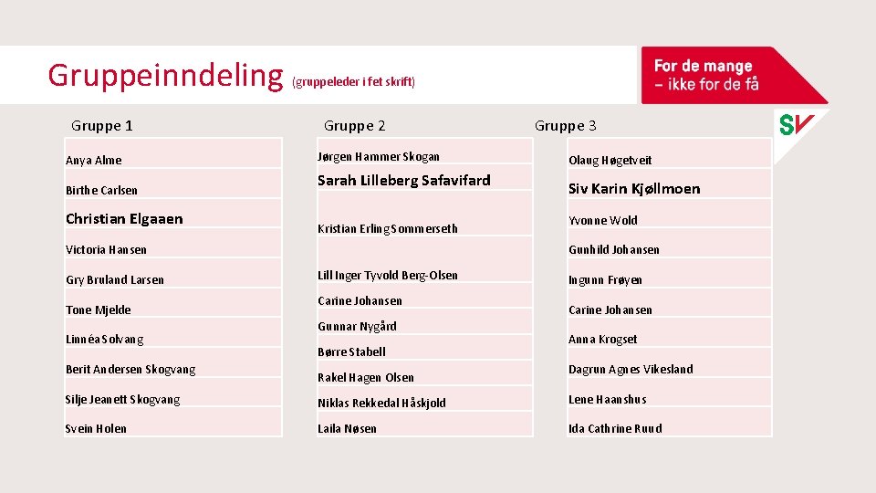 Gruppeinndeling Gruppe 1 Anya Alme Birthe Carlsen Christian Elgaaen (gruppeleder i fet skrift) Gruppe