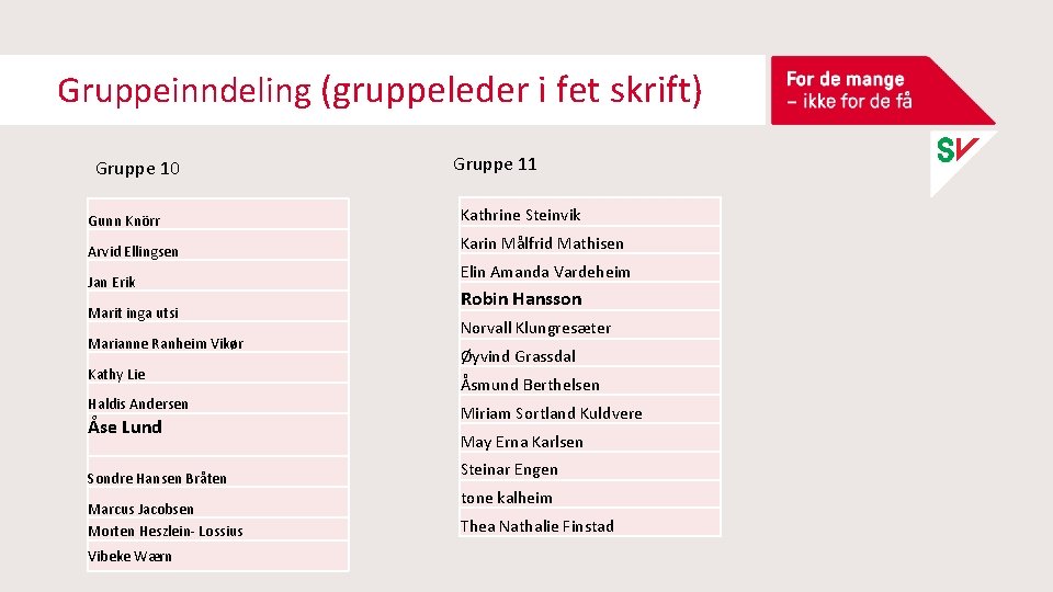 Gruppeinndeling (gruppeleder i fet skrift) Gruppe 10 Gruppe 11 Gunn Knörr Kathrine Steinvik Arvid