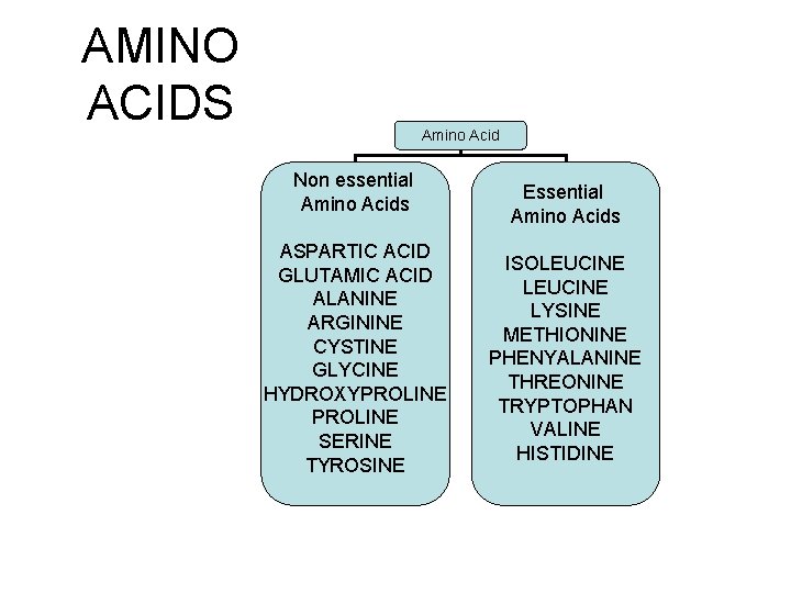 AMINO ACIDS Amino Acid Non essential Amino Acids ASPARTIC ACID GLUTAMIC ACID ALANINE ARGININE