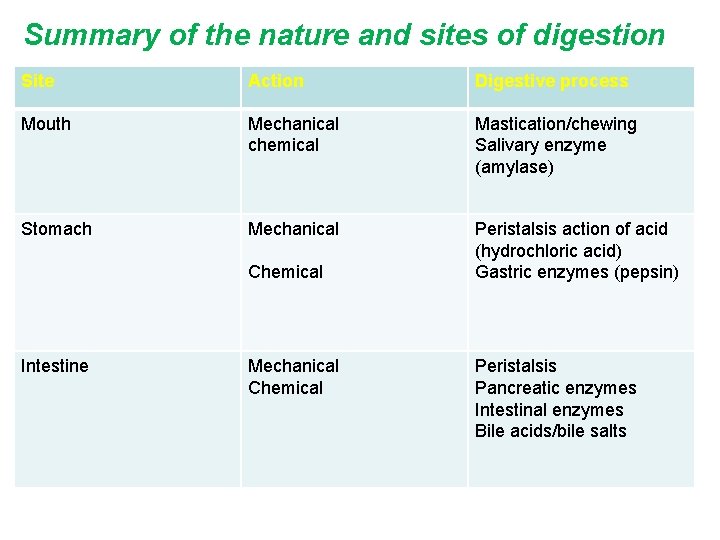 Summary of the nature and sites of digestion Site Action Digestive process Mouth Mechanical