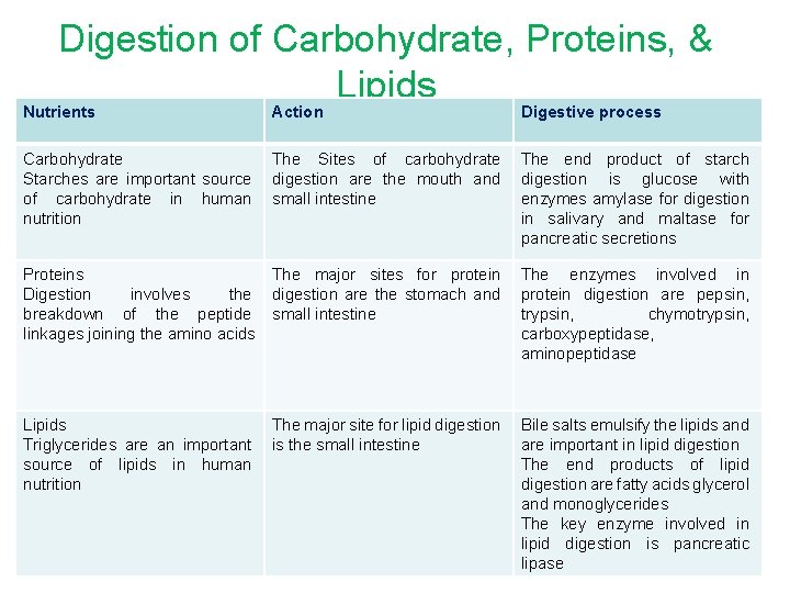 Digestion of Carbohydrate, Proteins, & Lipids Nutrients Action Digestive process Carbohydrate Starches are important