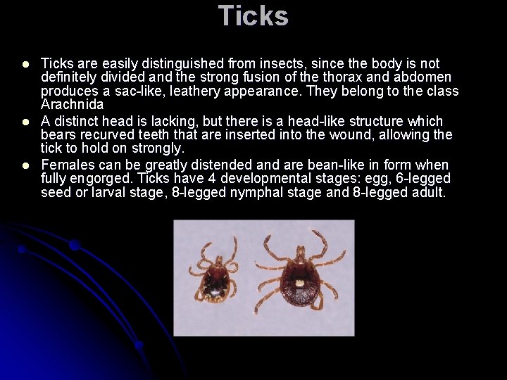 Ticks l l l Ticks are easily distinguished from insects, since the body is