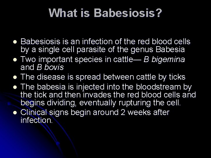 What is Babesiosis? l l l Babesiosis is an infection of the red blood