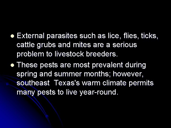 External parasites such as lice, flies, ticks, cattle grubs and mites are a serious