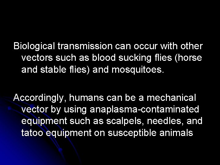 Biological transmission can occur with other vectors such as blood sucking flies (horse and