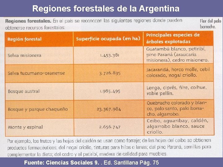 Regiones forestales de la Argentina Fuente: Ciencias Sociales 9. . Ed. Santillana Pág. 75