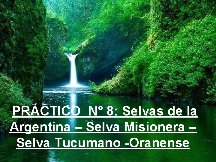 PRÁCTICO N° 8: Selvas de la Argentina – Selva Misionera – Selva Tucumano -Oranense