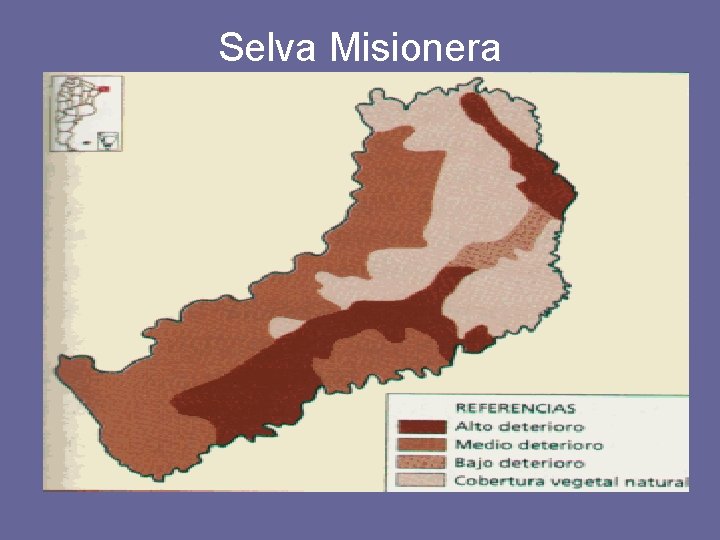 Selva Misionera 